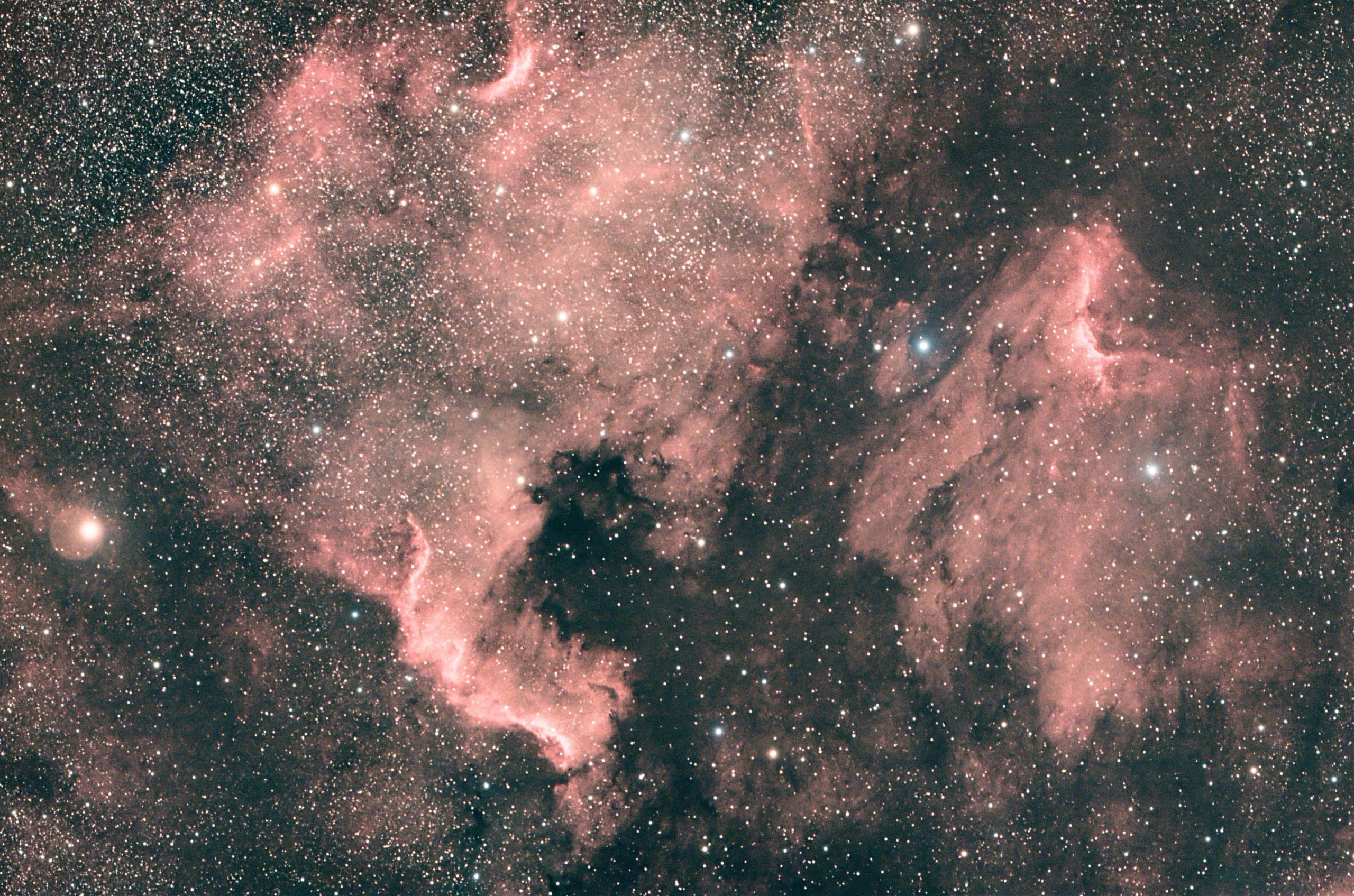 Ngc7000x